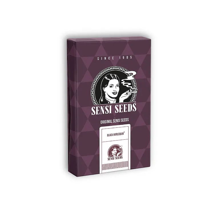 SENSI SEEDS - BLACK HARLEQUIN CBD X3 1