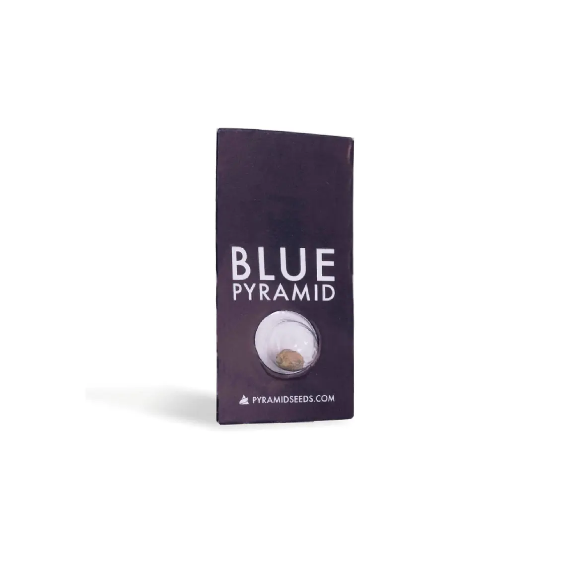 PYRAMID SEEDS - BLUE PYRAMID X1 1