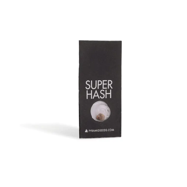 PYRAMID SEEDS - SUPER HASH X1 1