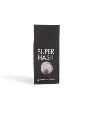 PYRAMID SEEDS - SUPER HASH X1