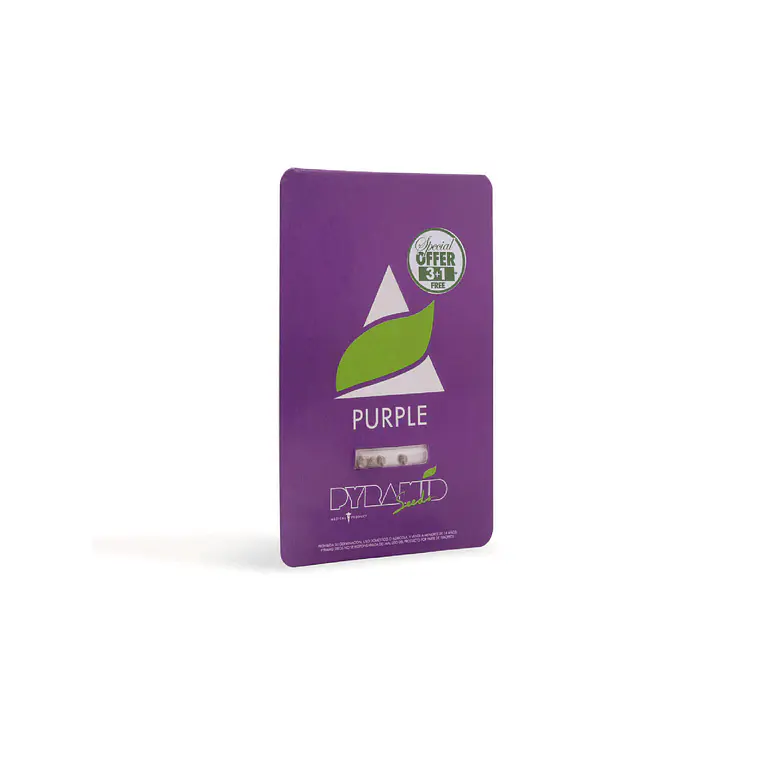 PYRAMID SEEDS - PURPLE X3+1 1