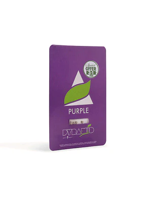 PYRAMID SEEDS - PURPLE X3+1
