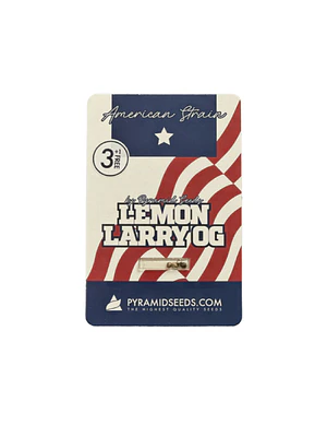 PYRAMID SEEDS - LEMON LARRY OG 3+1