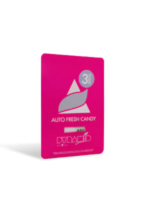 PYRAMID SEEDS - AUTO FRESH CANDY X3+1
