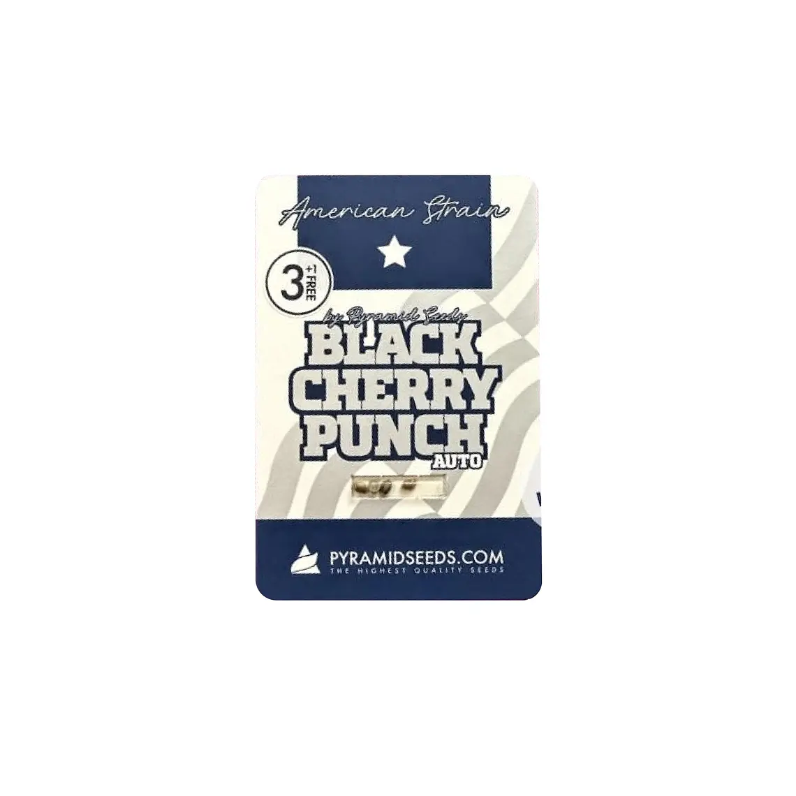 PYRAMID SEEDS - AUTO BLACK CHERRY PUNCH 3+1 1