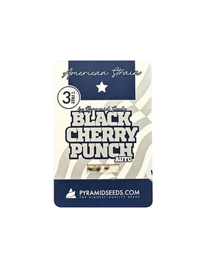 PYRAMID SEEDS - AUTO BLACK CHERRY PUNCH 3+1