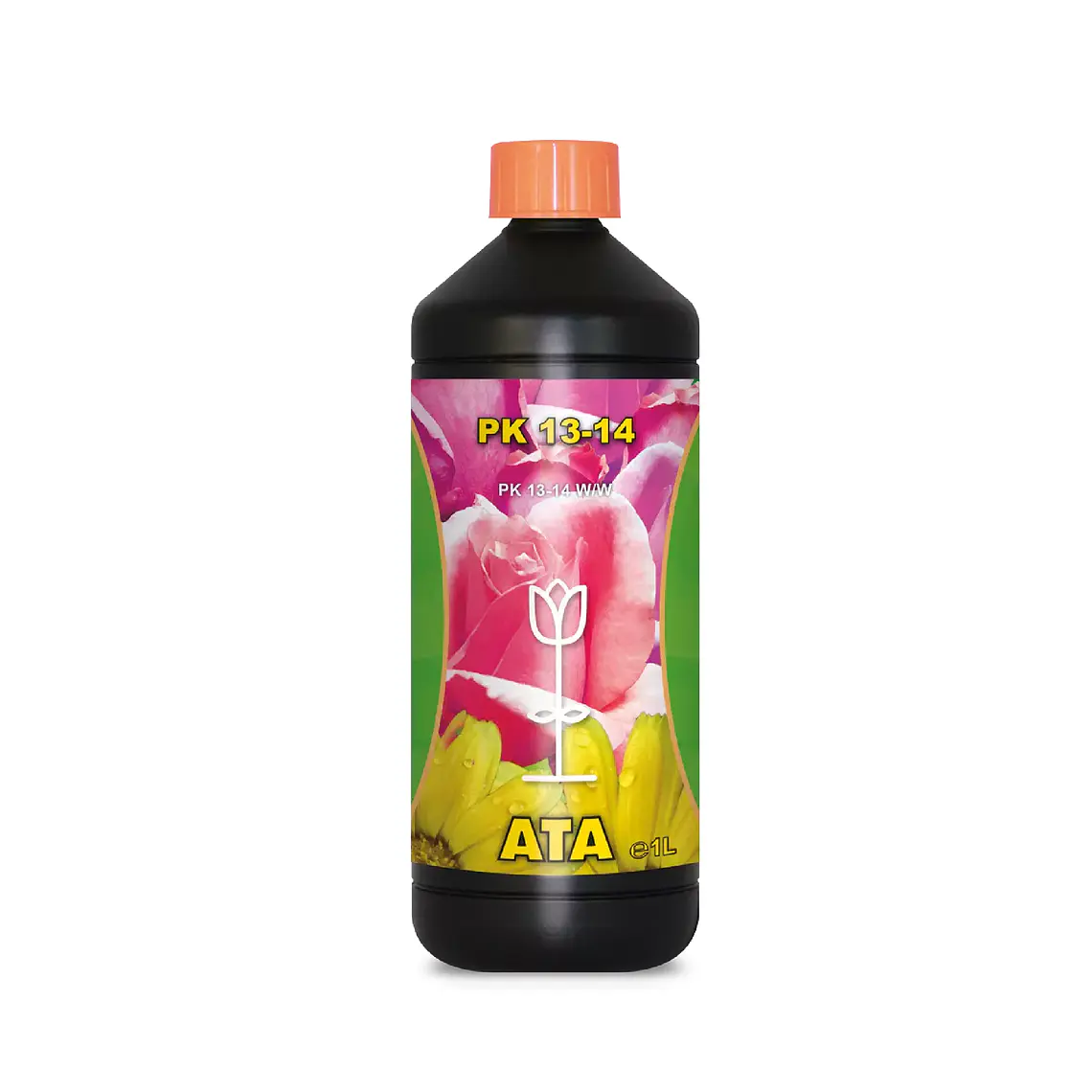 ATAMI - ATA PK 13-14 1