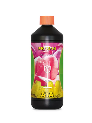ATAMI - ATA PK 13-14