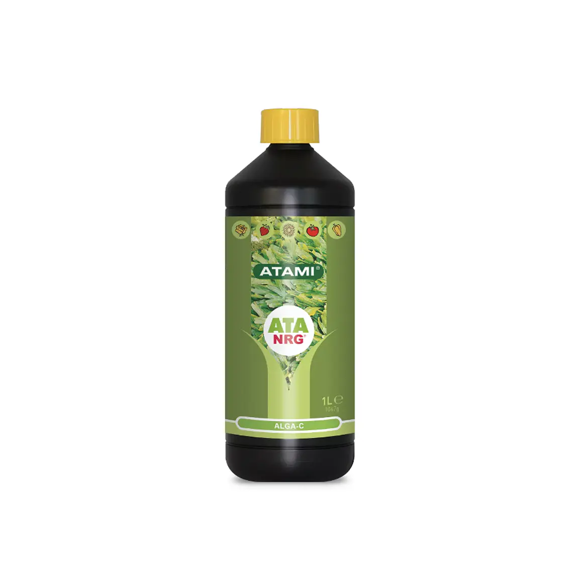 ATAMI - ATA NRG ALGA-C 500ML 1