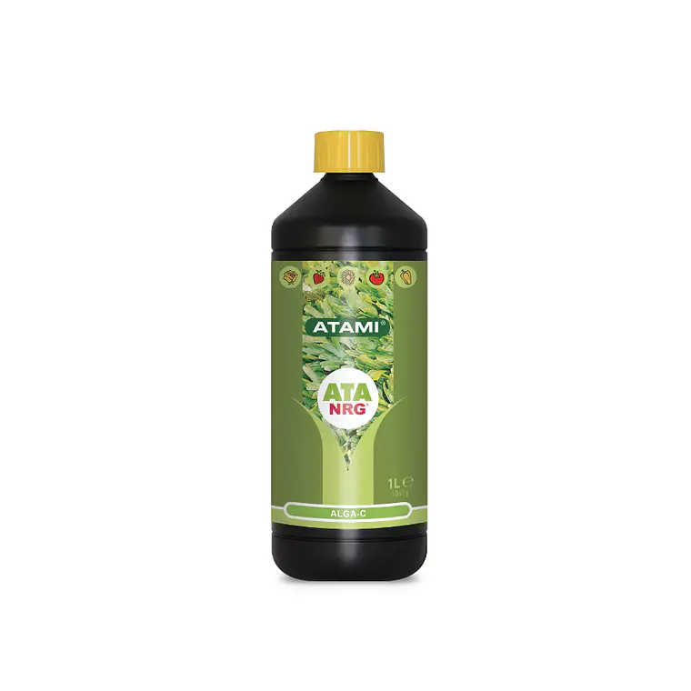 ATAMI - ATA NRG ALGA-C 500ML 1