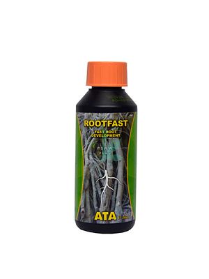 ATAMI - ATA ROOTFAST