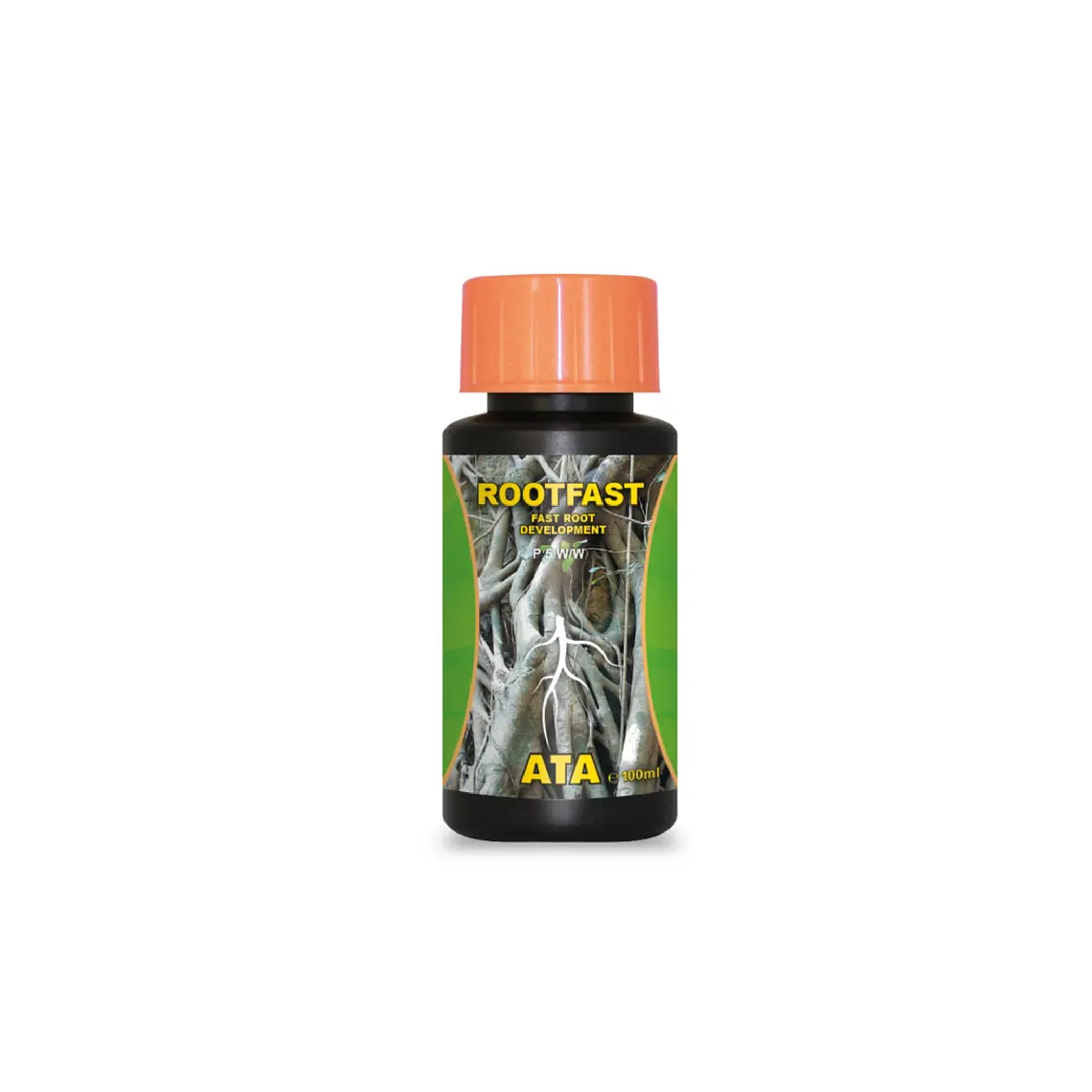 ATAMI - ATA ROOTFAST 1
