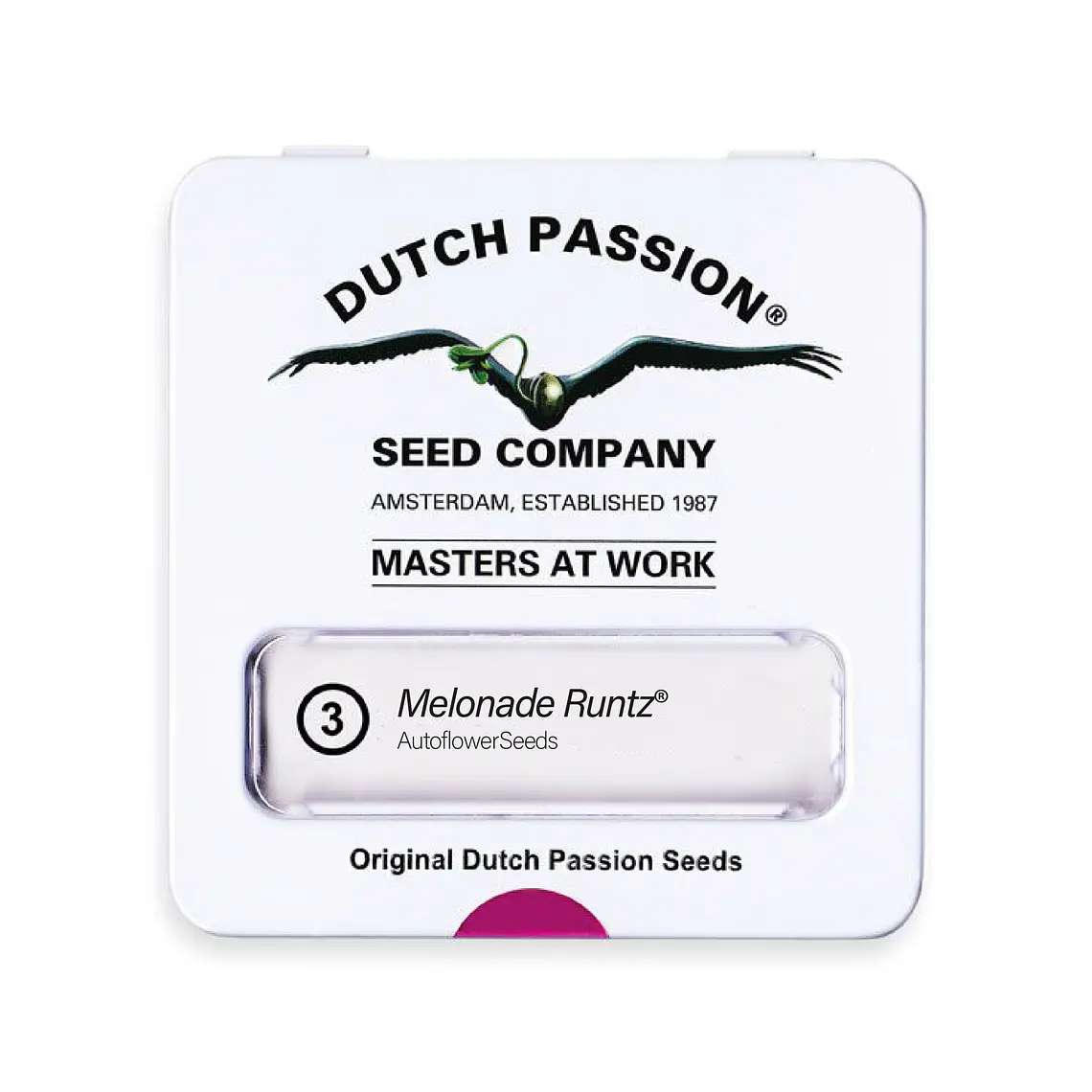 DUTCH PASSION - AUTO MELONADE RUNTZ X3 1