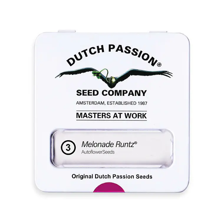 DUTCH PASSION - AUTO MELONADE RUNTZ X3 1