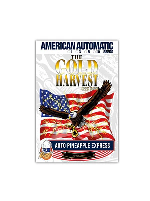 GOLD HARVEST - AUTO PINEAPPLE EXPRESS