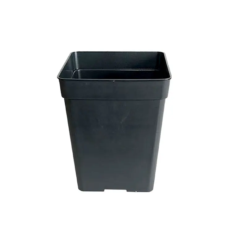 MACETERO - 1