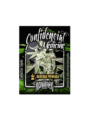 THE KUSH BROTHERS - CONFIDENCIAL MEDICINE X1