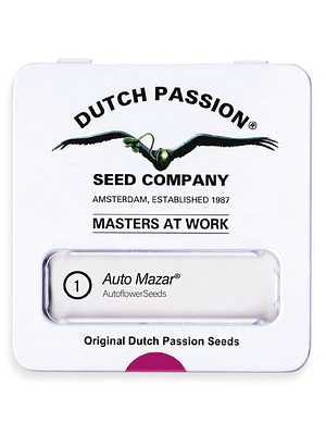 DUTCH PASSION - AUTO MAZAR X1