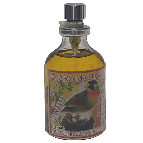 Pájaro macuá