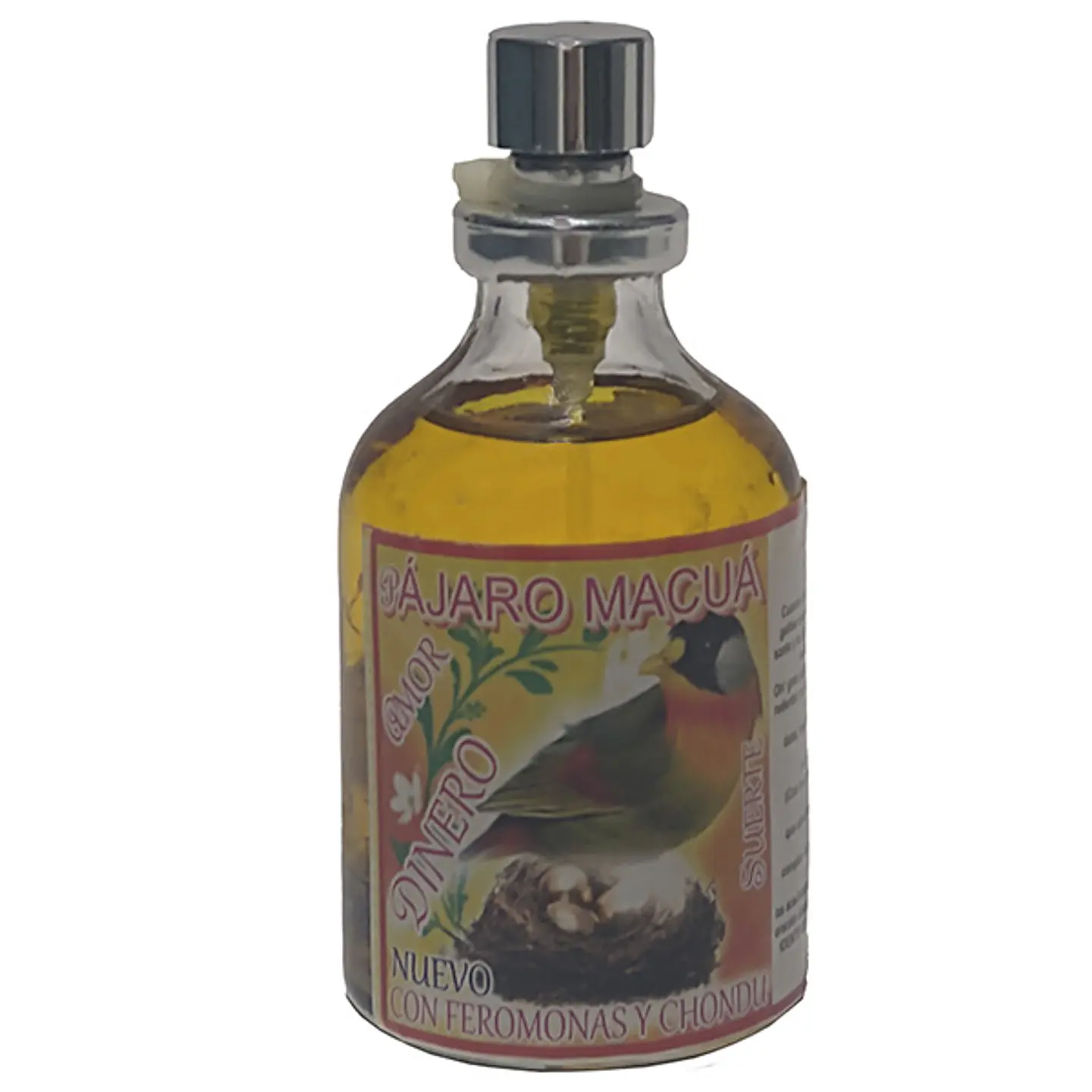 Pájaro macuá 1
