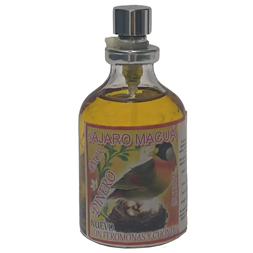 Pájaro macuá 1