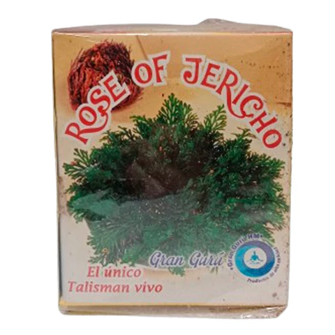 Rosa de jericó