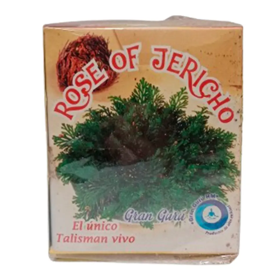 Rosa de jericó 1
