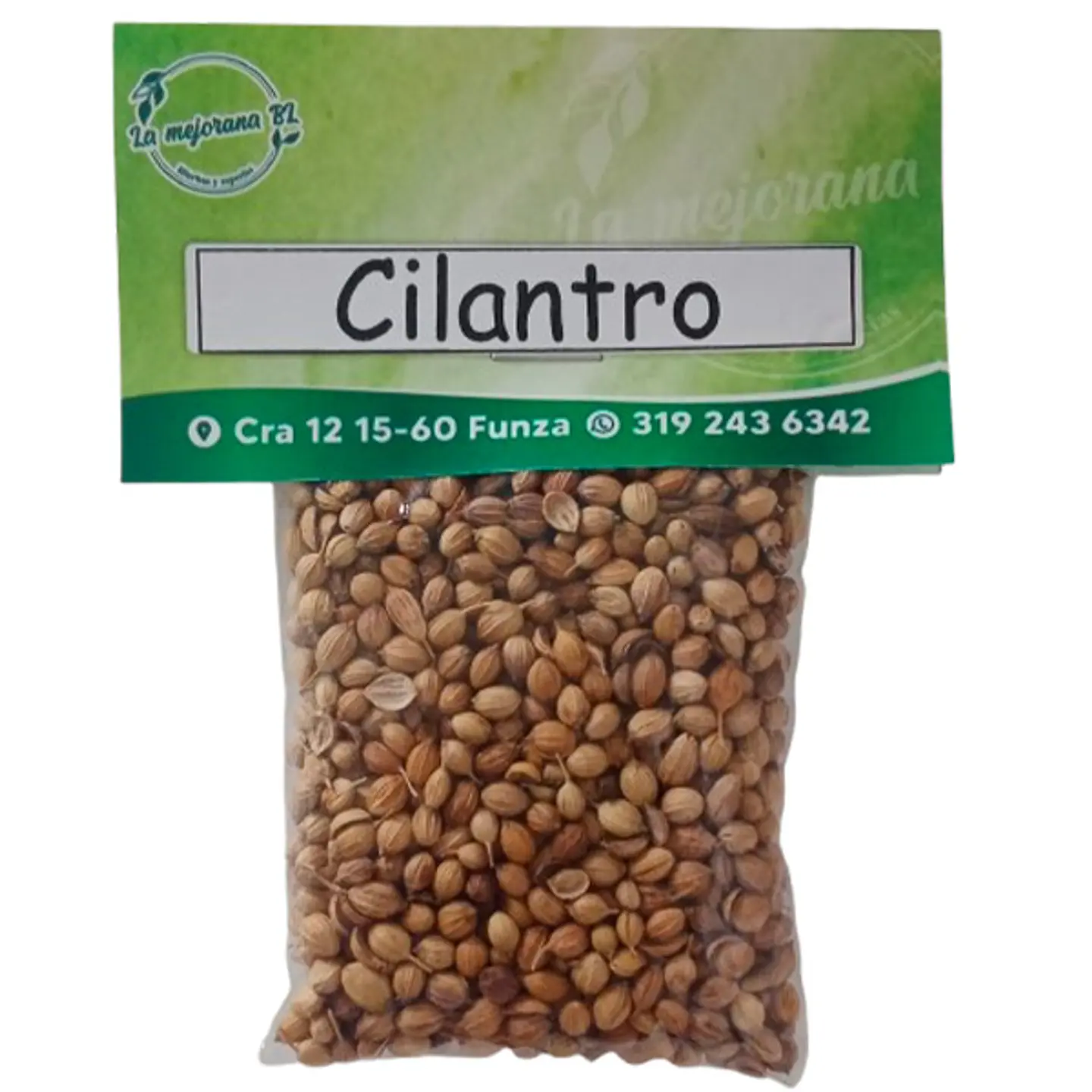 Cilantro 1