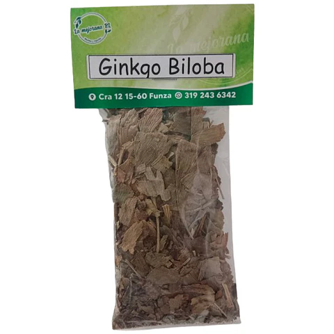 Ginkgo biloba