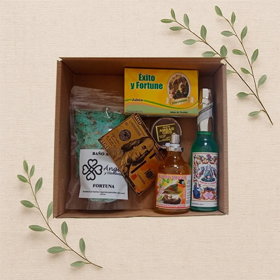 Kit de éxito y fortuna 1
