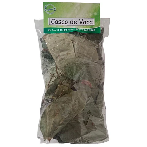 Casco de vaca