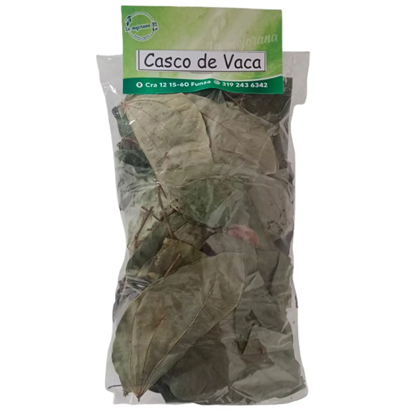 Casco de vaca 1
