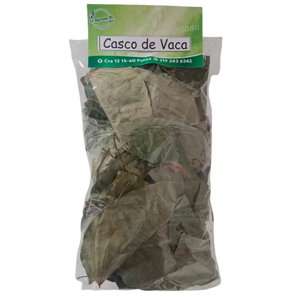 Casco de vaca 1
