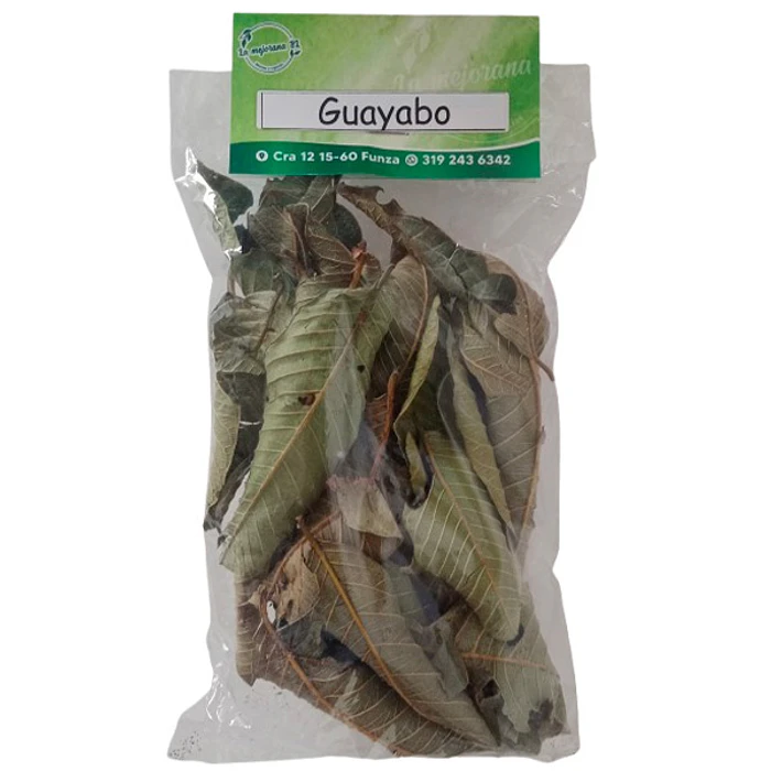 Hojas guayabo