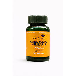 Capsulas Cordyceps Militaris STD-60 caps. 300 mg.