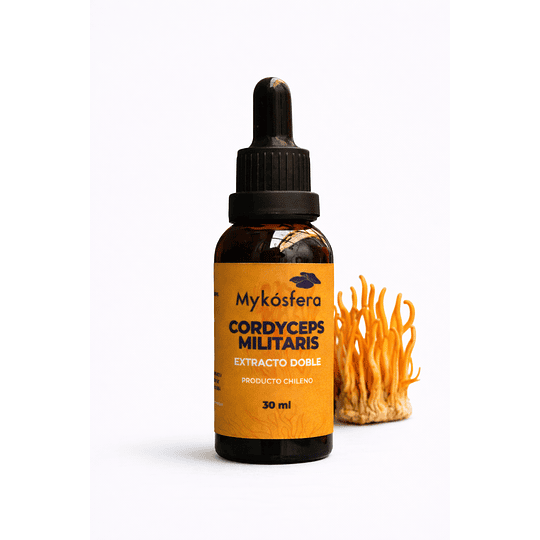Extracto doble extracción  Cordyceps Militaris 30 ml