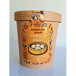Dumpling soup