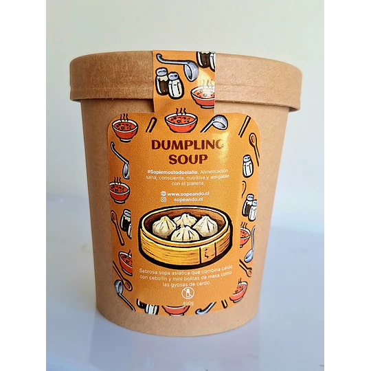 Dumpling soup
