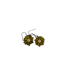 AROS FLOR PEPITA MELON VERDE 