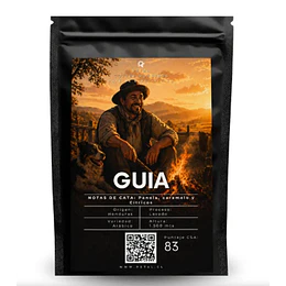 Café Guia de Honduras grano 250 grs.