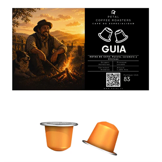 Capsulas  Guia 10  un.