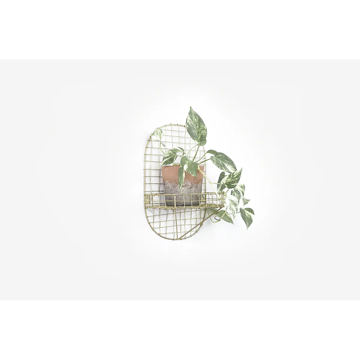 Repisa Hortensia