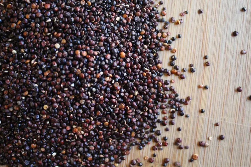Quinoa Negra 3