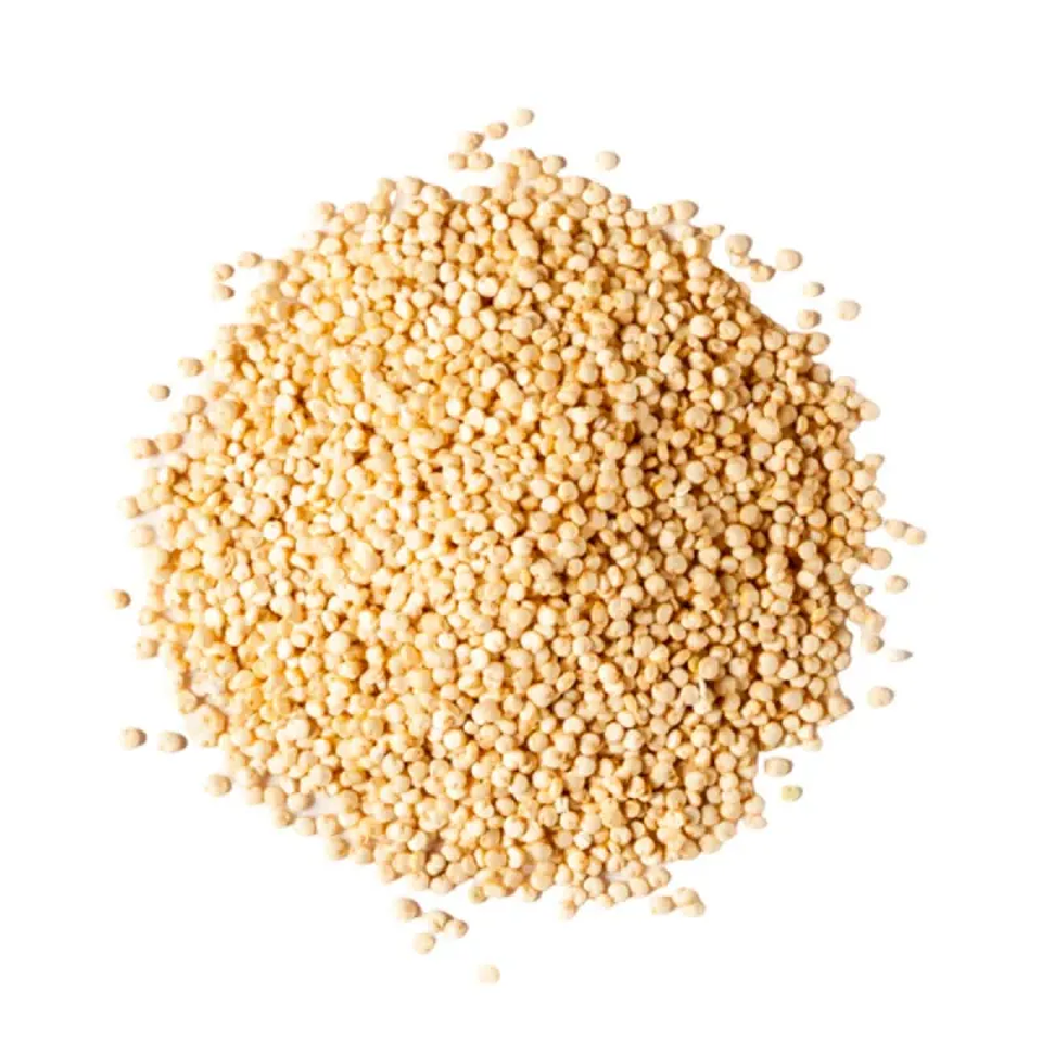 Quinoa blanca 1