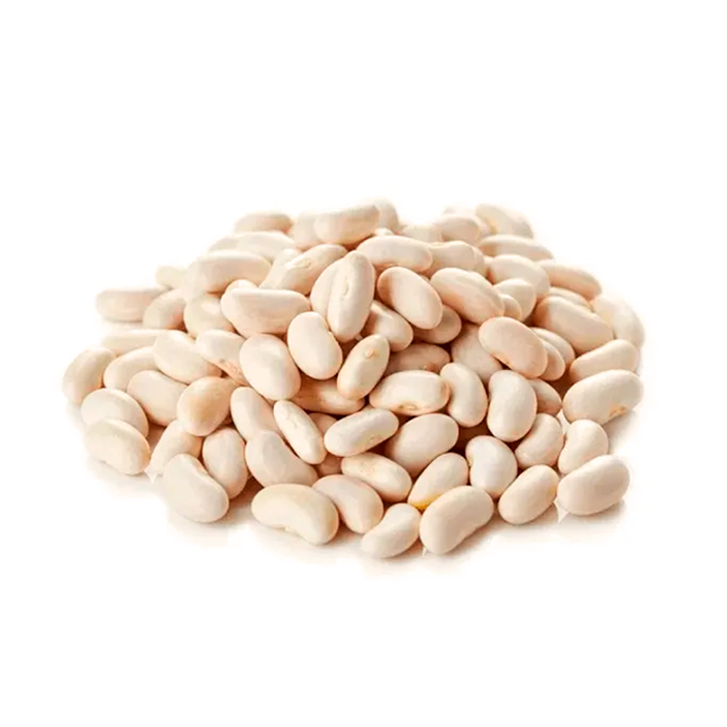 Porotos Blancos | Altos en Proteínas y Fibra | La Nou 1