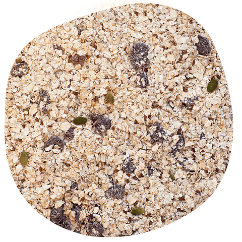 Avena Mix Frutos