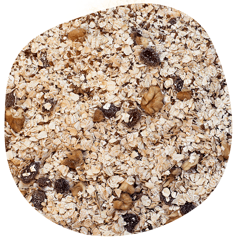 Avena Mix Semillas