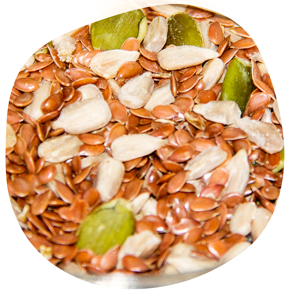 Mix de Semillas – Linaza, Chía, Maravilla y Semillas de zapallo 1