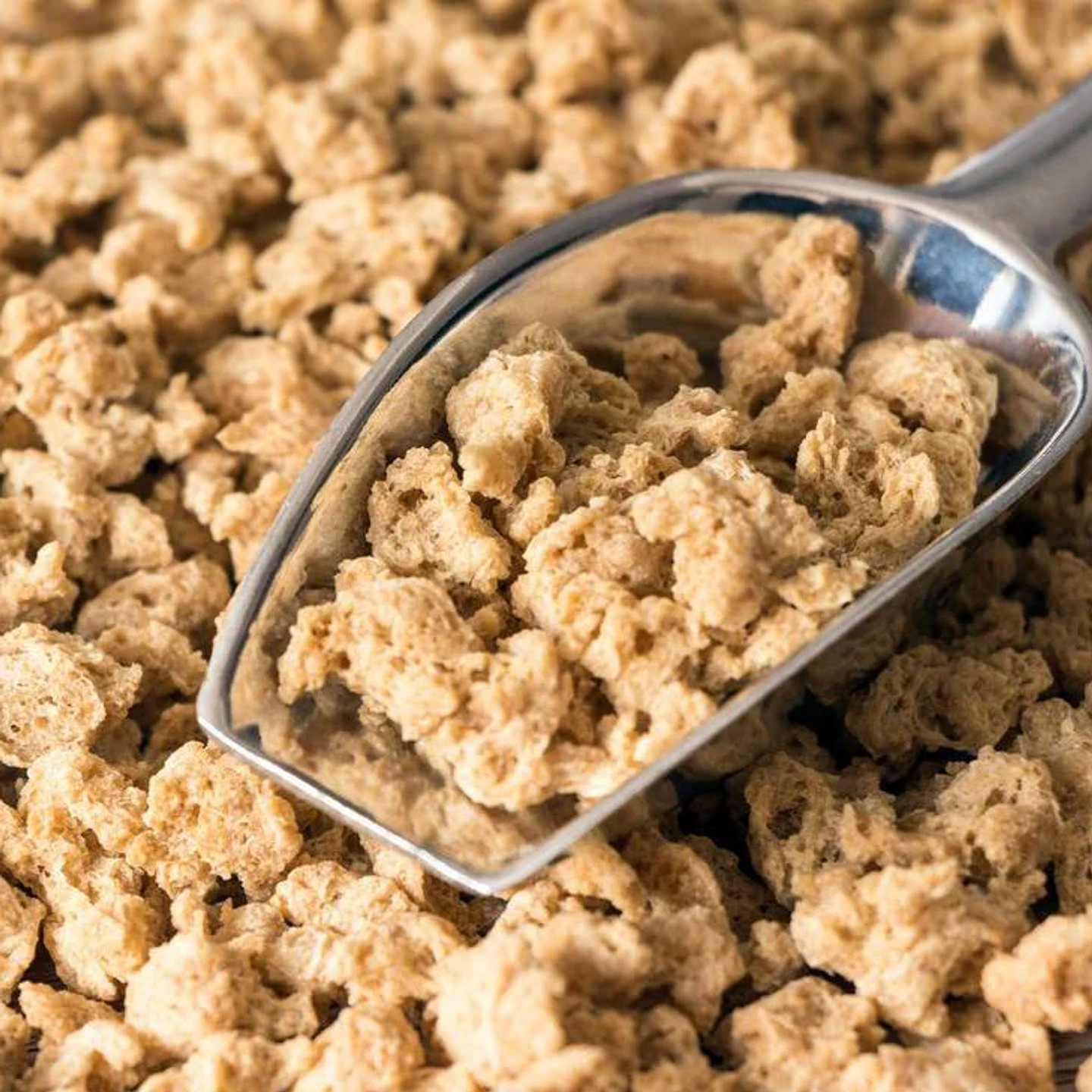 Carne de Soya Grande | Proteína Vegetal Alta en Nutrientes 2