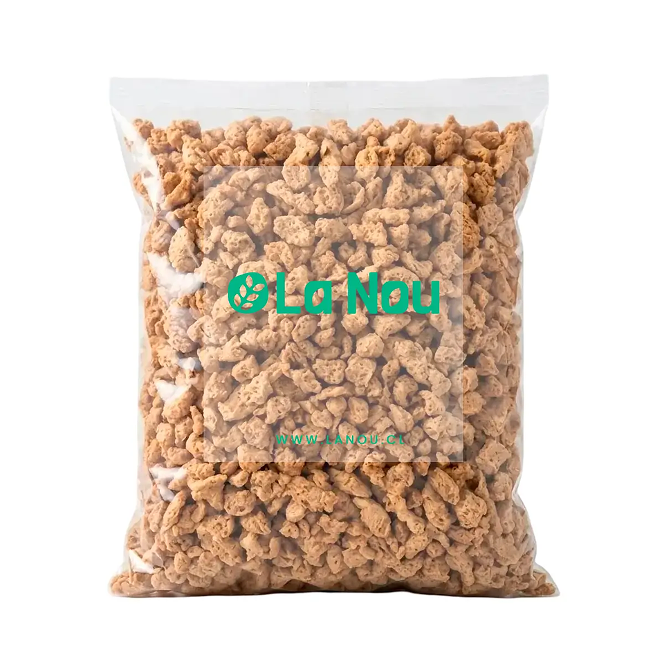 Carne de Soya Grande | Proteína Vegetal Alta en Nutrientes 1